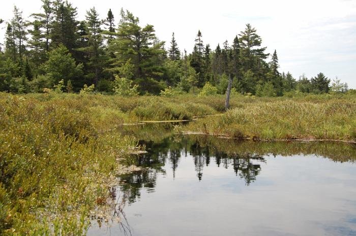 Kanutrip Naturreservat Sporting Lake_59